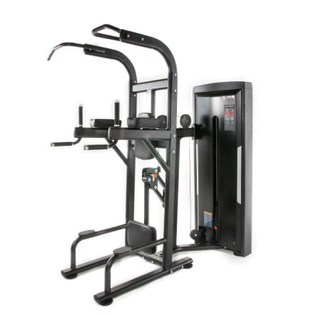 Easy Chin/Dip 100 kg, TF Standard WS