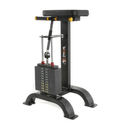 TF Exclusive WS, Wrist Curl, 50 kg