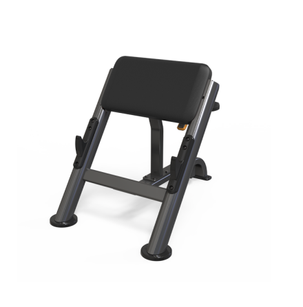 MF Preacher Curl