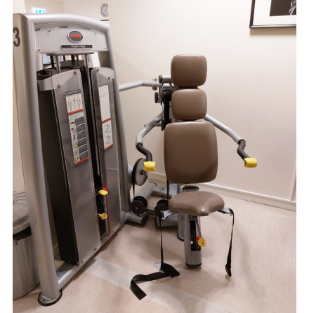 Sittande Dips 100 kg, Fassi