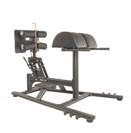 TF Standard, Glute/ham developer bench