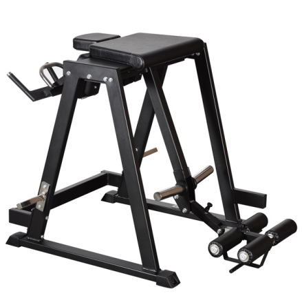 Reverse Hyper Pendel, Gymleco