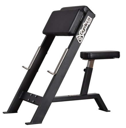 Scottcurl bnk sittande, Gymleco