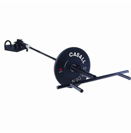 Squat handle