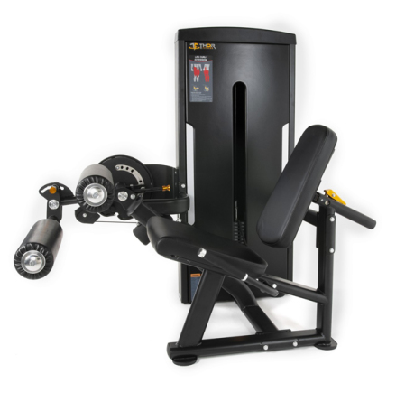 Leg Extension/Leg Curl 100 kg, TF Standard WS