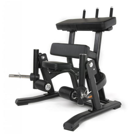 TF Standard PL, Standing Leg Curl