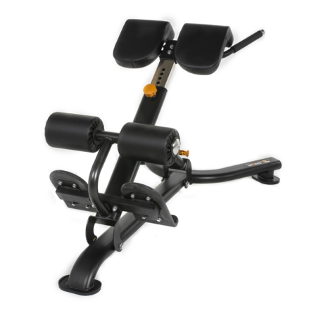 Back Extension, Thor Fitness Standard