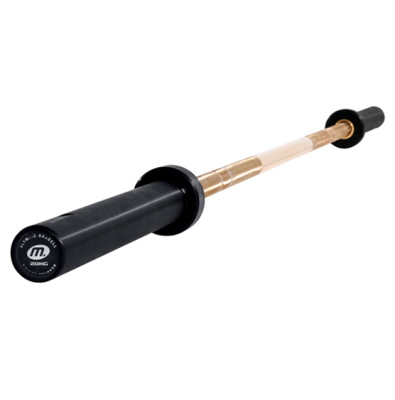 Internationell Skivstng GOLD Titan, 220 cm, 28 mm grepp &quot;LAGERUTFRSLJNING&quot;