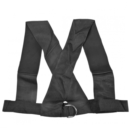 NF Sele/Harness