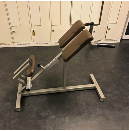 Stende ryggresare, Nordic Gym