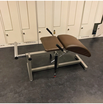 Anatomisk Magbnk, Nordic Gym